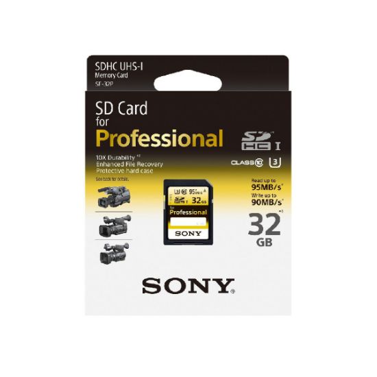 Picture of Sony Professional 32GB Memory Card