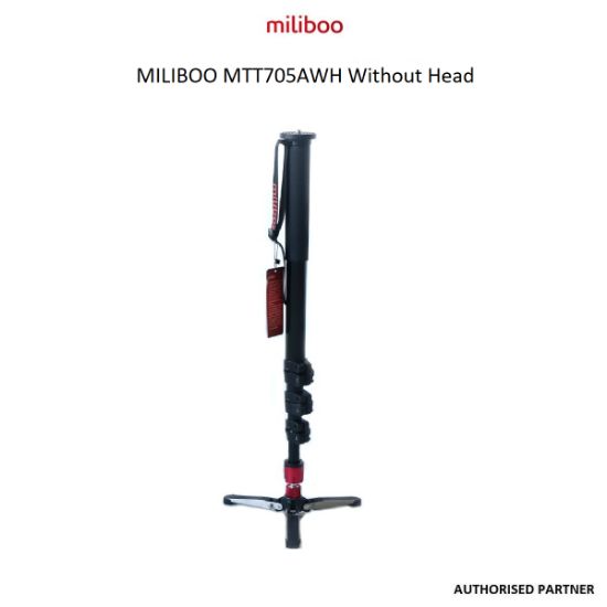 Picture of Miliboo MTT705AWH Without Head