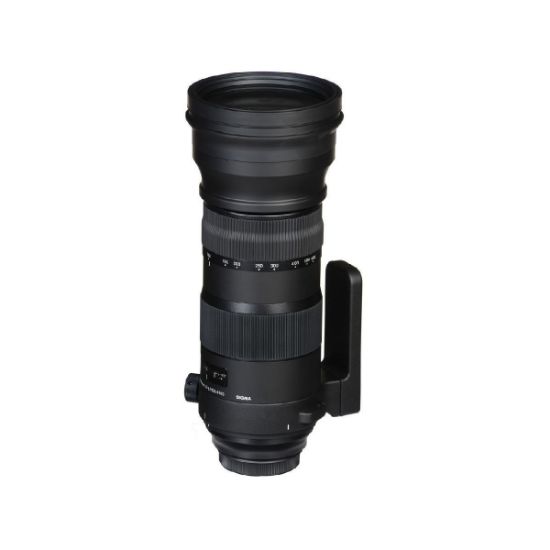 Picture of Sigma 150-600mm f/5-6.3 DG OS HSM Sports for Canon EF Lens