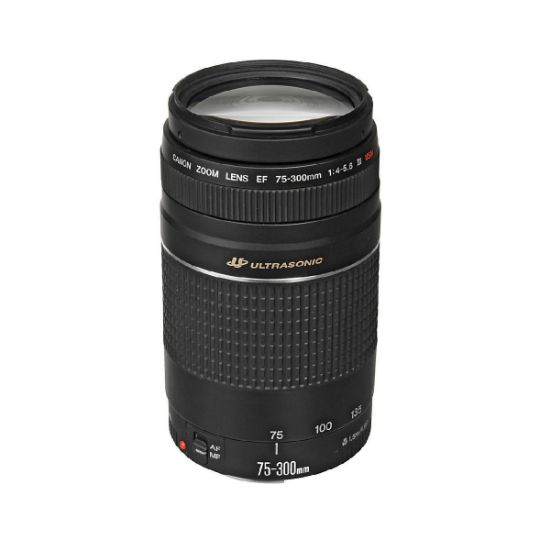 Picture of Canon EF Zoom 75-300mm f/4-5.6 III Lens