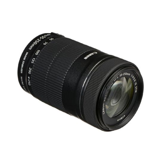 Picture of Canon EF-S 55-250mm f/4-5.6 IS STM Lens.