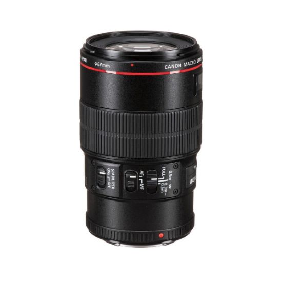 Picture of Canon EF 100mm f/2.8L Macro IS USM Lens.