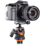 Picture of Vanguard BBH-100 Ball Head