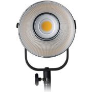 Picture of Nanlite Forza 200 Daylight LED Monolight