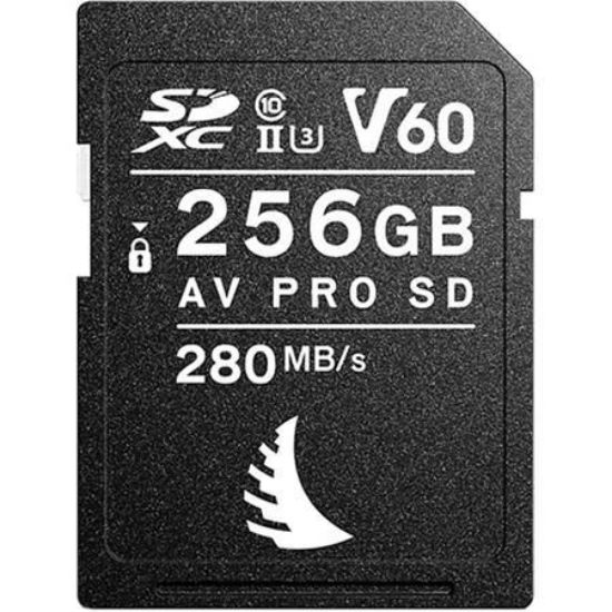 Picture of AVP256SDV60