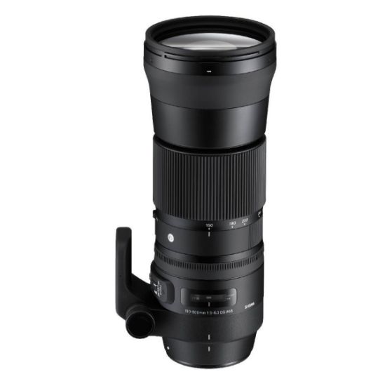 Picture of Sigma 150-600mm f/5-6.3 DG OS HSM Contemporary for Nikon F Lens