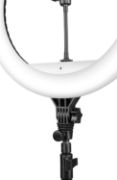 Picture of DIGITEKÃ‚Â® (DRL 19R) Professional 19 inch Big LED Ring Light with 2 color modes Dimmable Lighting